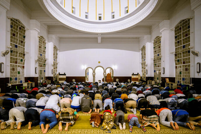 migration-learning-resources